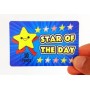 Mudu Star of the Day Başarı Kartı (25 Adet)