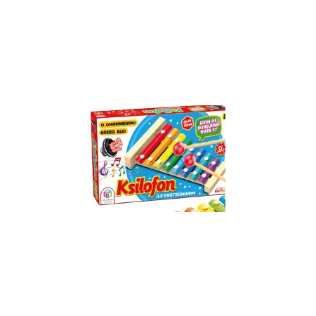 Hobi Eğitim Dünyası Ksilofon Oyunu