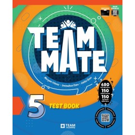 TeamMate 5 Test Book
